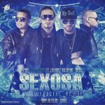 Prynce El Armamento Ft. J Alvarez, Valentino Y Cheka - Sexosa MP3